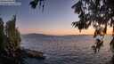 ./images/koeye/fitz-hugh/20260619/fitz-hugh20260619_215501M.jpg