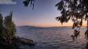./images/koeye/fitz-hugh/20260619/fitz-hugh20260619_220501M.jpg