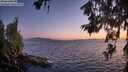 ./images/koeye/fitz-hugh/20260619/fitz-hugh20260619_221001M.jpg