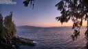 ./images/koeye/fitz-hugh/20260619/fitz-hugh20260619_221501M.jpg