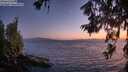 ./images/koeye/fitz-hugh/20260619/fitz-hugh20260619_222501M.jpg