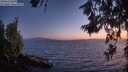 ./images/koeye/fitz-hugh/20260619/fitz-hugh20260619_223501M.jpg