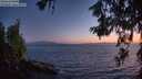 ./images/koeye/fitz-hugh/20260619/fitz-hugh20260619_224001M.jpg