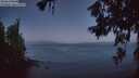 ./images/koeye/fitz-hugh/20260620/fitz-hugh20260620_042001M.jpg