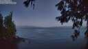 ./images/koeye/fitz-hugh/20260620/fitz-hugh20260620_042502M.jpg