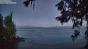 ./images/koeye/fitz-hugh/20260620/fitz-hugh20260620_043001M.jpg