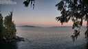 ./images/koeye/fitz-hugh/20260620/fitz-hugh20260620_051501M.jpg