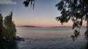 ./images/koeye/fitz-hugh/20260620/fitz-hugh20260620_052001M.jpg