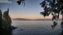 ./images/koeye/fitz-hugh/20260620/fitz-hugh20260620_053001M.jpg