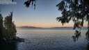 ./images/koeye/fitz-hugh/20260620/fitz-hugh20260620_053501M.jpg