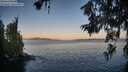./images/koeye/fitz-hugh/20260620/fitz-hugh20260620_054001M.jpg