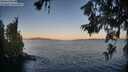 ./images/koeye/fitz-hugh/20260620/fitz-hugh20260620_054502M.jpg