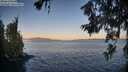 ./images/koeye/fitz-hugh/20260620/fitz-hugh20260620_055001M.jpg