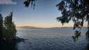 ./images/koeye/fitz-hugh/20260620/fitz-hugh20260620_055501M.jpg