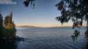 ./images/koeye/fitz-hugh/20260620/fitz-hugh20260620_060001M.jpg