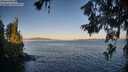 ./images/koeye/fitz-hugh/20260620/fitz-hugh20260620_060501M.jpg