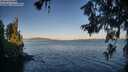 ./images/koeye/fitz-hugh/20260620/fitz-hugh20260620_061001M.jpg