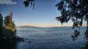 ./images/koeye/fitz-hugh/20260620/fitz-hugh20260620_061501M.jpg
