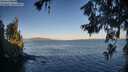 ./images/koeye/fitz-hugh/20260620/fitz-hugh20260620_062001M.jpg