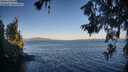 ./images/koeye/fitz-hugh/20260620/fitz-hugh20260620_062501M.jpg