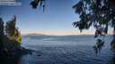 ./images/koeye/fitz-hugh/20260620/fitz-hugh20260620_063001M.jpg