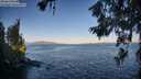 ./images/koeye/fitz-hugh/20260620/fitz-hugh20260620_063501M.jpg
