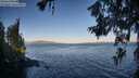 ./images/koeye/fitz-hugh/20260620/fitz-hugh20260620_064501M.jpg