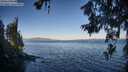 ./images/koeye/fitz-hugh/20260620/fitz-hugh20260620_065501M.jpg