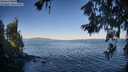 ./images/koeye/fitz-hugh/20260620/fitz-hugh20260620_070002M.jpg