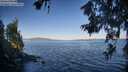 ./images/koeye/fitz-hugh/20260620/fitz-hugh20260620_071001M.jpg
