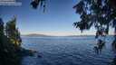 ./images/koeye/fitz-hugh/20260620/fitz-hugh20260620_071501M.jpg