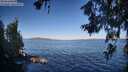 ./images/koeye/fitz-hugh/20260620/fitz-hugh20260620_074001M.jpg