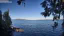 ./images/koeye/fitz-hugh/20260620/fitz-hugh20260620_074501M.jpg