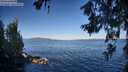 ./images/koeye/fitz-hugh/20260620/fitz-hugh20260620_075001M.jpg