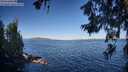 ./images/koeye/fitz-hugh/20260620/fitz-hugh20260620_075501M.jpg