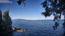 ./images/koeye/fitz-hugh/20260620/fitz-hugh20260620_080001M.jpg