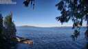 ./images/koeye/fitz-hugh/20260620/fitz-hugh20260620_080501M.jpg