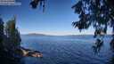 ./images/koeye/fitz-hugh/20260620/fitz-hugh20260620_081001M.jpg