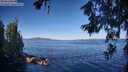 ./images/koeye/fitz-hugh/20260620/fitz-hugh20260620_081501M.jpg