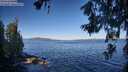 ./images/koeye/fitz-hugh/20260620/fitz-hugh20260620_082001M.jpg