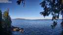 ./images/koeye/fitz-hugh/20260620/fitz-hugh20260620_082501M.jpg