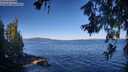 ./images/koeye/fitz-hugh/20260620/fitz-hugh20260620_084502M.jpg