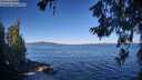 ./images/koeye/fitz-hugh/20260620/fitz-hugh20260620_085002M.jpg