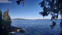 ./images/koeye/fitz-hugh/20260620/fitz-hugh20260620_085501M.jpg