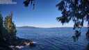 ./images/koeye/fitz-hugh/20260620/fitz-hugh20260620_090501M.jpg