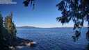 ./images/koeye/fitz-hugh/20260620/fitz-hugh20260620_091001M.jpg