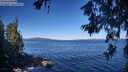 ./images/koeye/fitz-hugh/20260620/fitz-hugh20260620_092002M.jpg