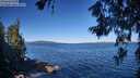 ./images/koeye/fitz-hugh/20260620/fitz-hugh20260620_092501M.jpg