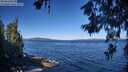 ./images/koeye/fitz-hugh/20260620/fitz-hugh20260620_093501M.jpg
