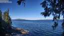 ./images/koeye/fitz-hugh/20260620/fitz-hugh20260620_094001M.jpg
